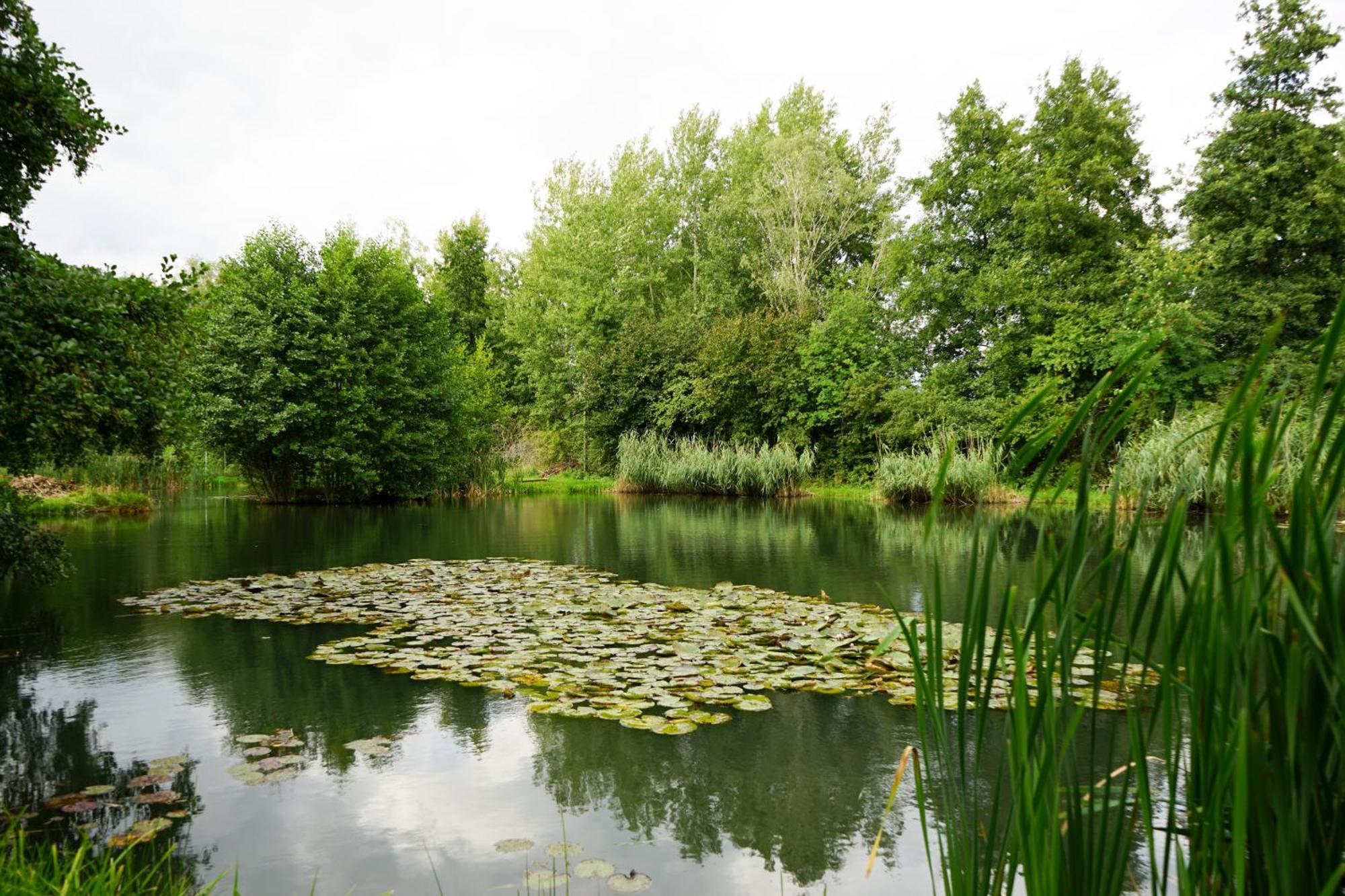 Slube An Den Teichen Hoher Flaeming Rottstock Exterior foto